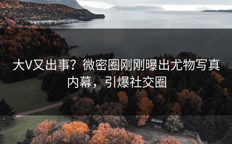 大V又出事？微密圈刚刚曝出尤物写真内幕，引爆社交圈