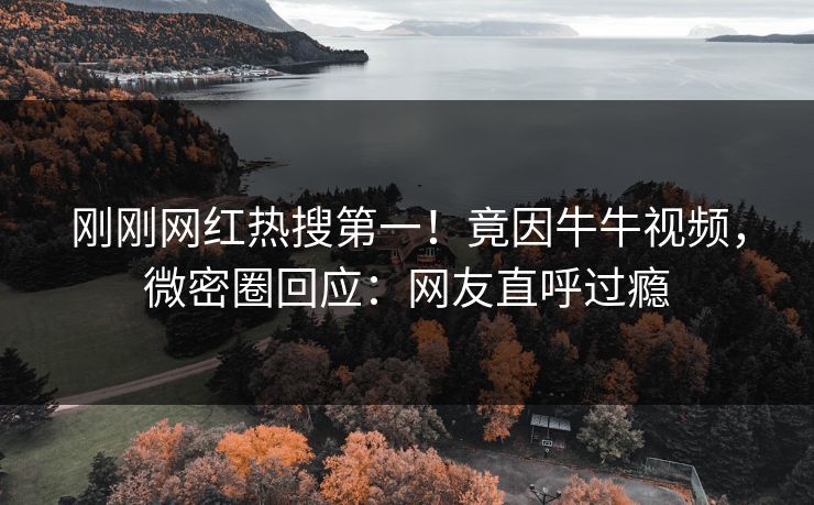 刚刚网红热搜第一！竟因牛牛视频，微密圈回应：网友直呼过瘾