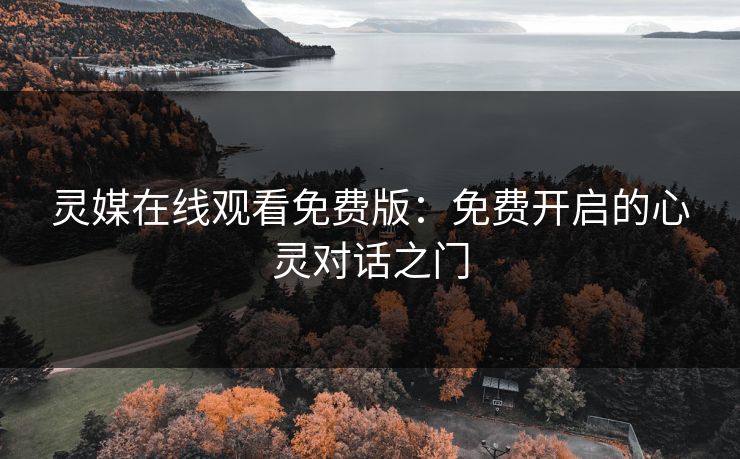灵媒在线观看免费版：免费开启的心灵对话之门